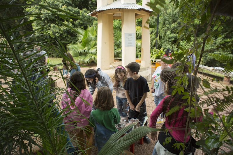 Fabulários: exposição interativa propõe uma navegação pelo universo das águas e sua biodiversidade